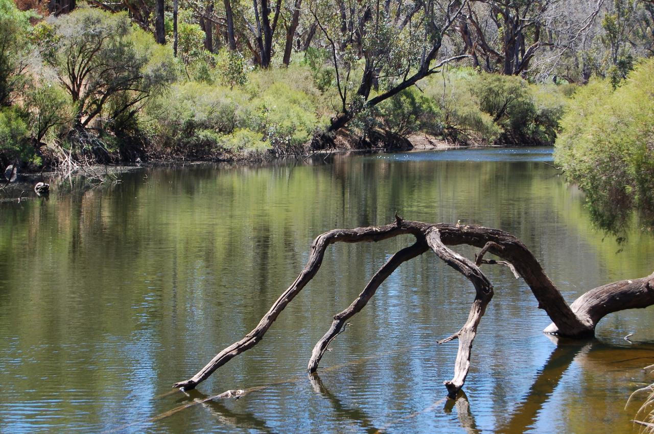 Beyonderup Falls Adult Retreat Nannup Cameră foto